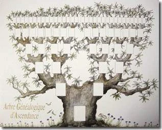 ARBRE 7 GENERATIONS