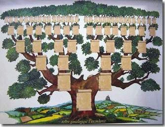ARBRE 6 GENERATIONS