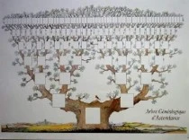 un grand choix d'arbres à commander dans notre boutique enligne