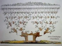 un grand choix d'arbres à commander dans notre boutique en ligne